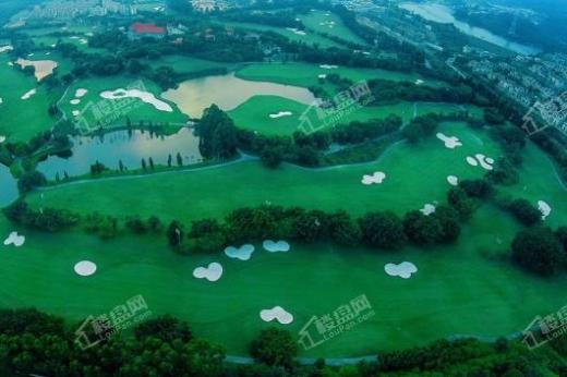 世茂紫茂府配套图